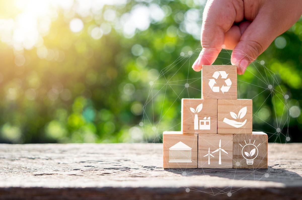 Steps to Due Diligence Implementation: From Initial Assessment to Results