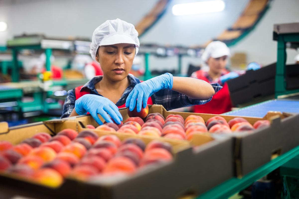 Tracing the Path: Chain of Custody Certification As an Essential Pillar for a Responsible Future
