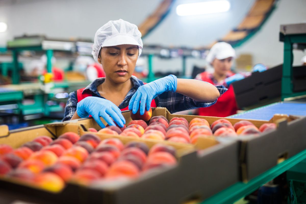 Tracing the Path: Chain of Custody Certification As an Essential Pillar for a Responsible Future