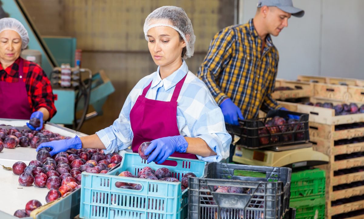 Tracing the path: Chain of Custody certification as an essential pillar for a responsible future
