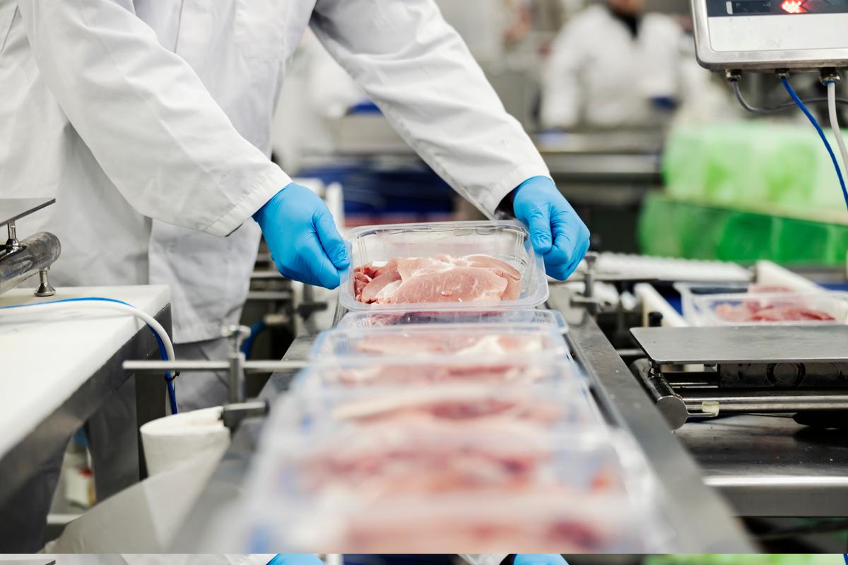 Understanding the SQF Code Edition 10 Updates: What It Means for Your Business