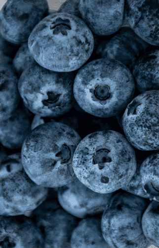 Food & Agri Commodities