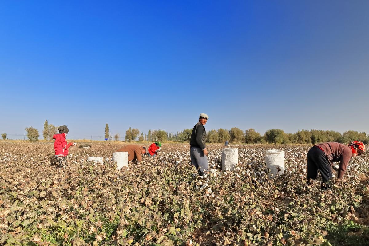 The Role of Supply Chain Transparency in Achieving ESG Goals
