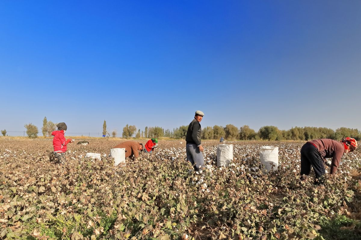 The Role of Supply Chain Transparency in Achieving ESG Goals