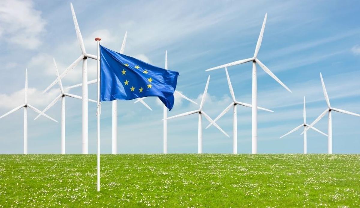 Navigating Recent Updates to the EU Deforestation Regulation and ESG Frameworks: Essential Insights for Businesses