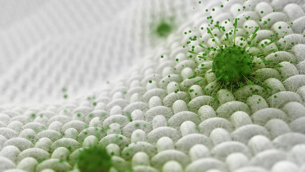 Antimicrobial Fabric Testing: Overview of Key Test Methods
