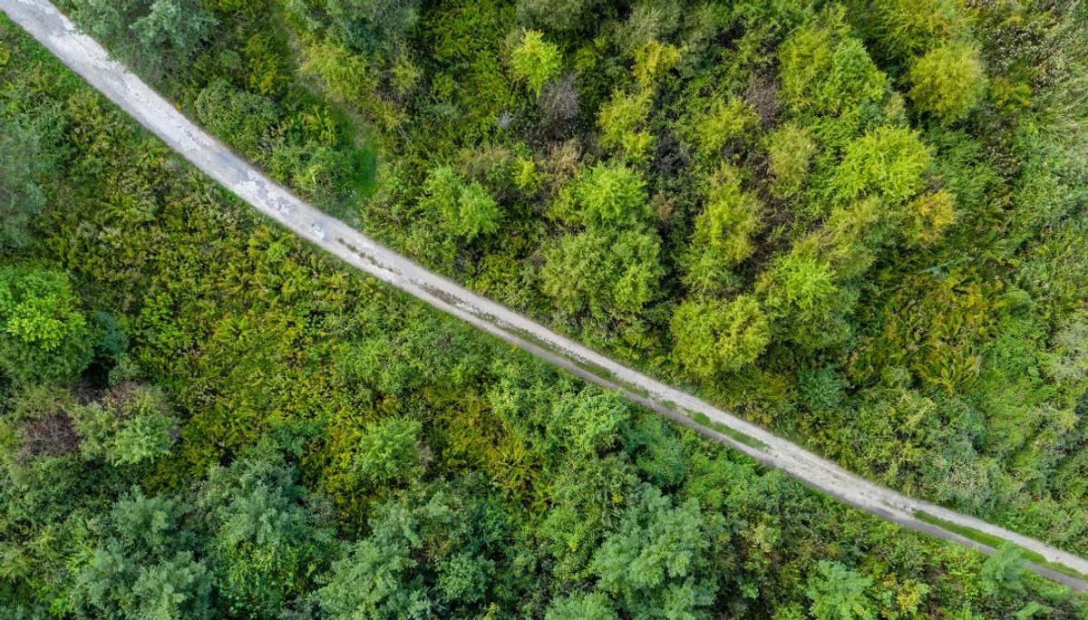 Navigating the EUDR Delay: What It Means for Your Business