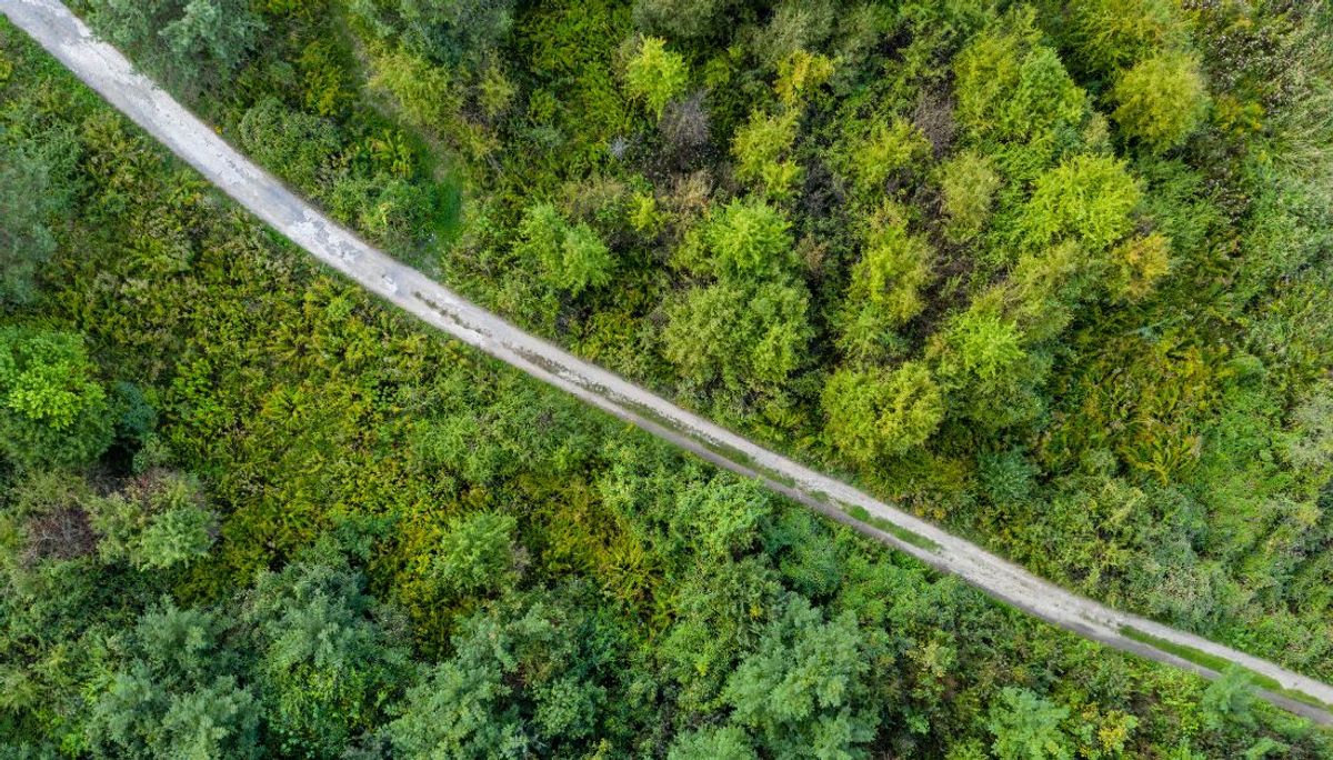 Navigating the EUDR Delay: What It Means for Your Business