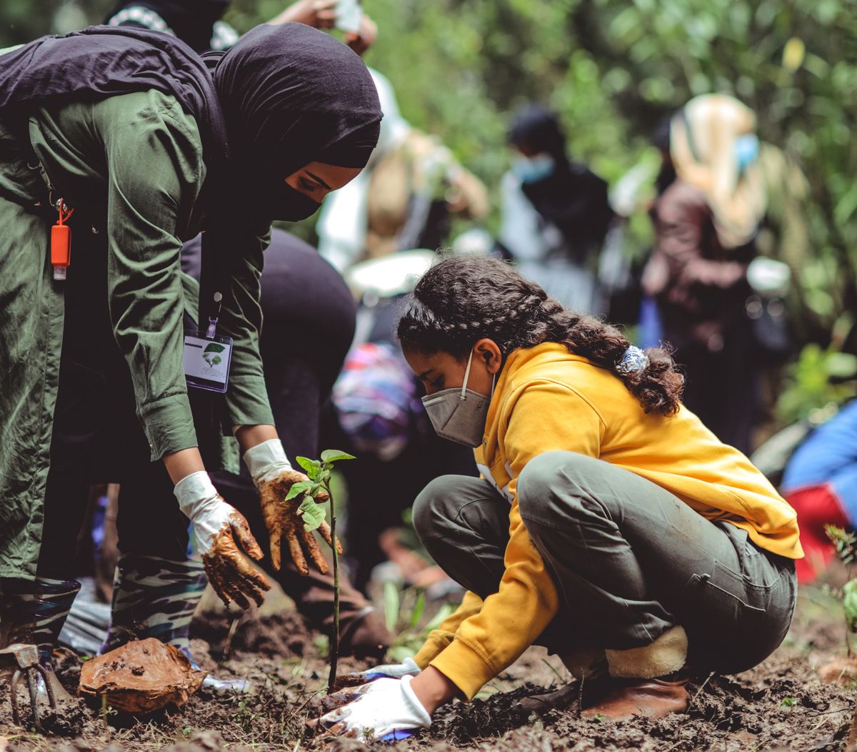 Sustainable Development: More Than Climate Change