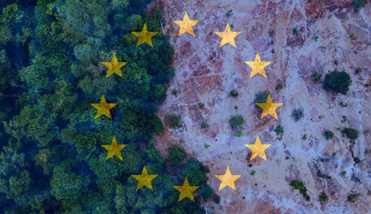 EUDR Delayed to 2026/2027: New Timeline, Simplification & What Companies Must Do  