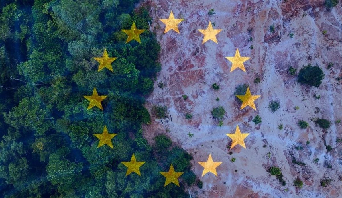 EUDR Delayed to 2026/2027: New Timeline, Simplification & What Companies Must Do