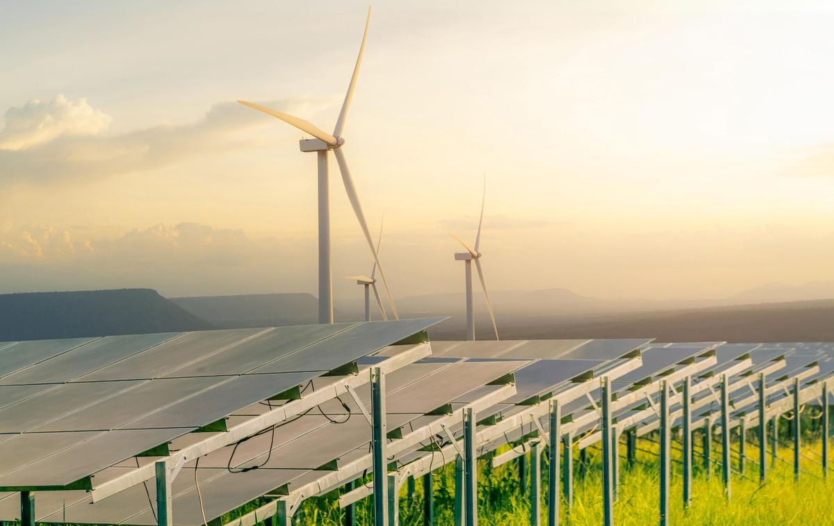 Businesses Worldwide Embrace Sustainability in Response to EU CSDDD and Other ESG Legislation
