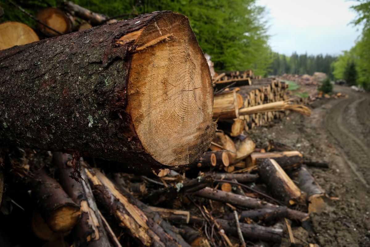 EU Action on Sustainability Sets the Tone for the Global Community