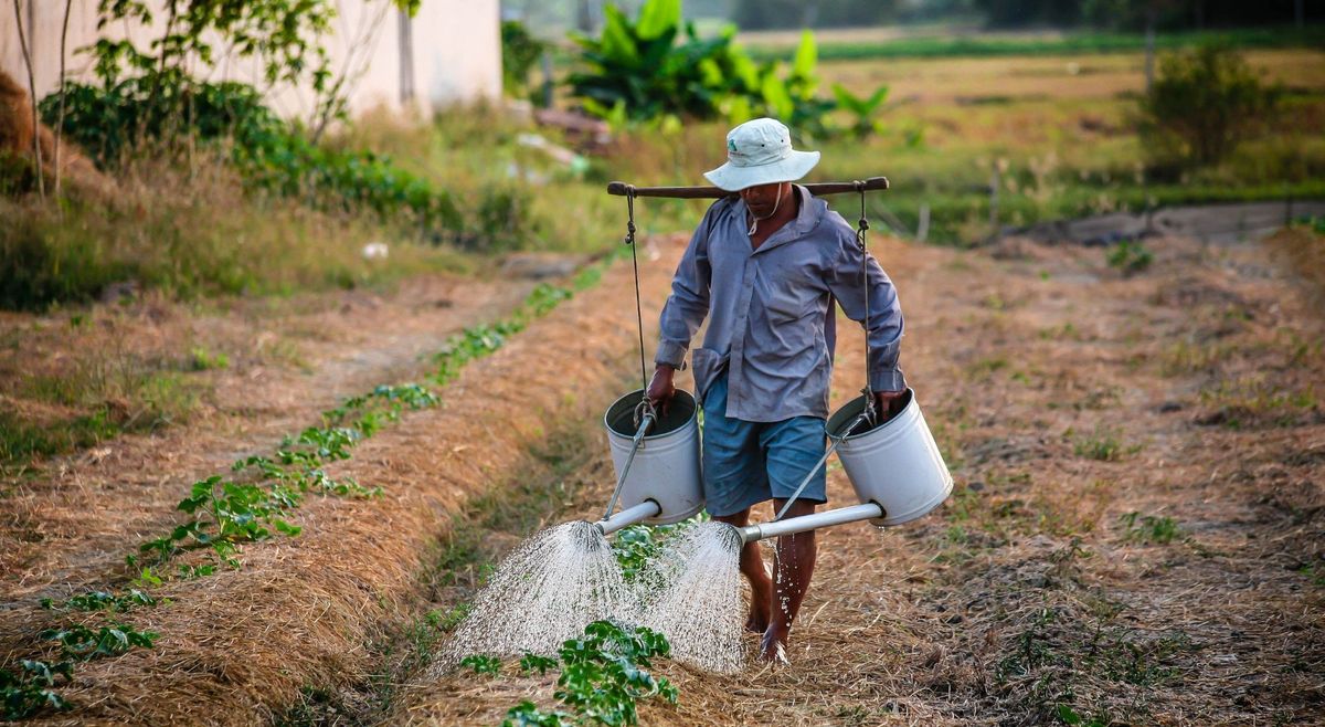 EU Forced Labor Regulation: A Major Step Against Forced and Child Labor