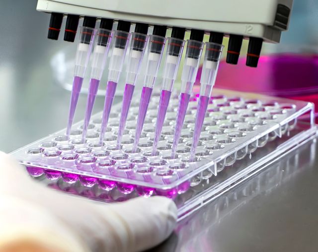 Pre-clinical Research and Testing