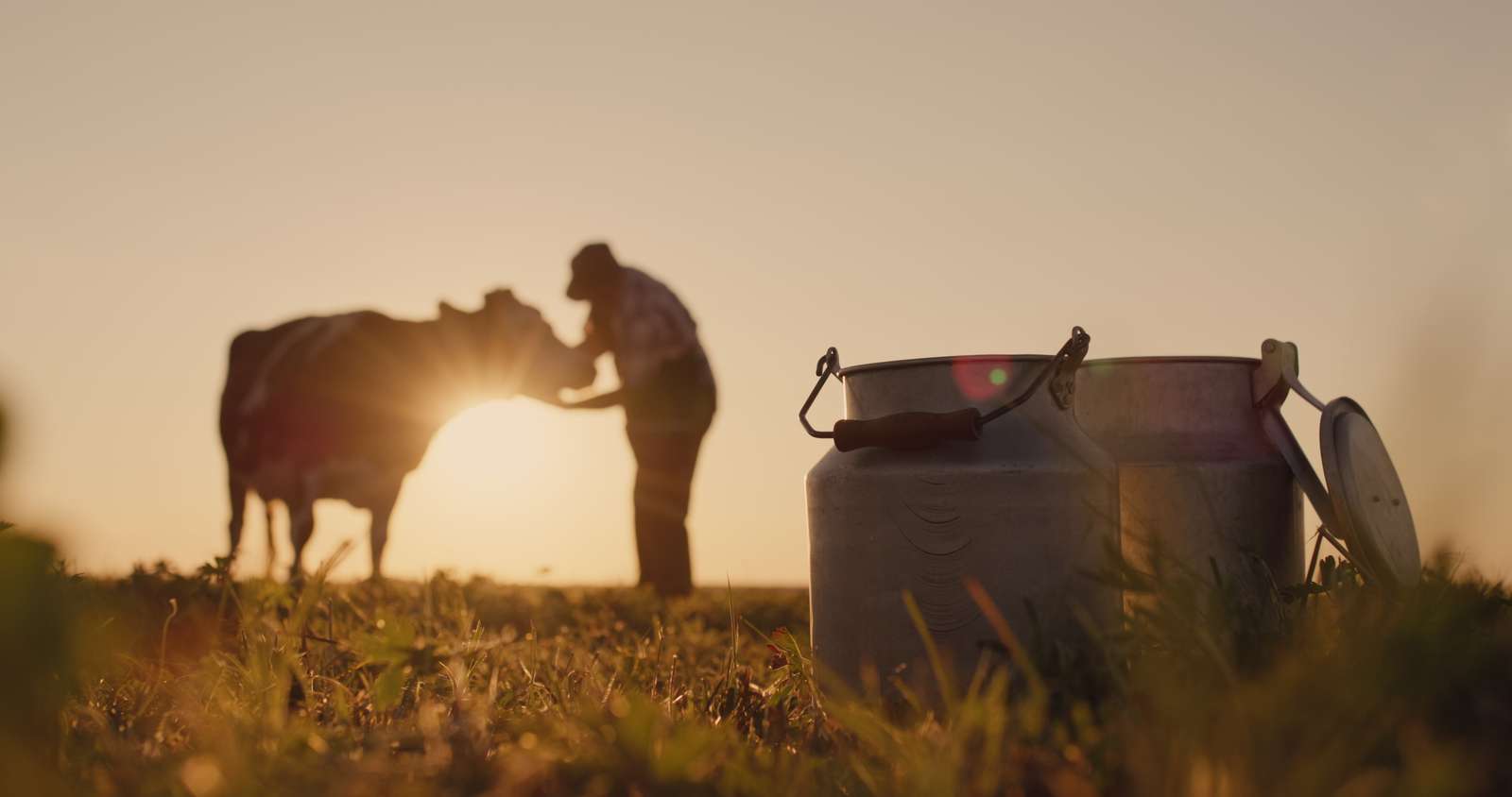 QIMA and Nutron/Cargill launch Nutron Bem+Leite animal welfare certification program